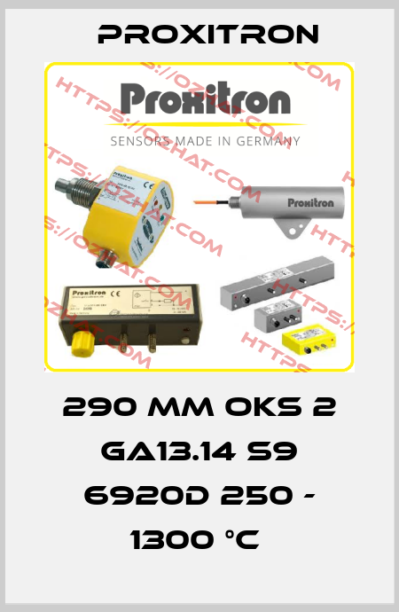 290 MM OKS 2 GA13.14 S9 6920D 250 - 1300 °C  Proxitron