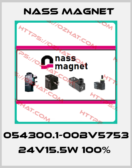 054300.1-00BV5753 24V15.5W 100%  Nass Magnet