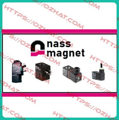 054300.1-00BV5753 24V15.5W 100%  Nass Magnet