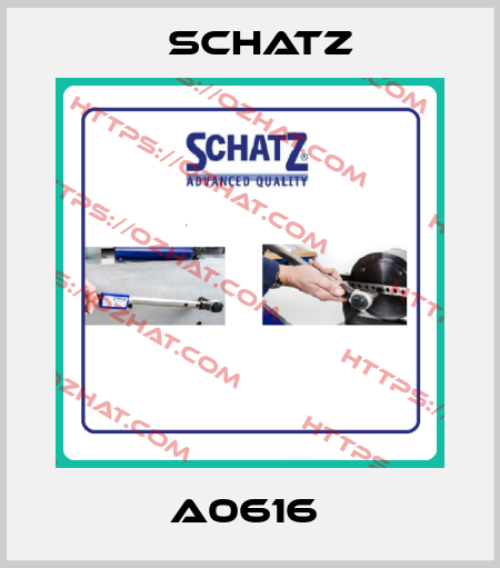 A0616  Schatz