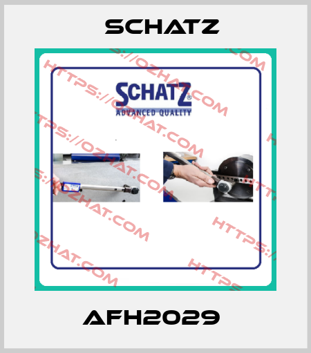 AFH2029  Schatz
