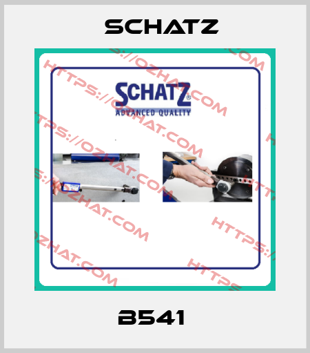 B541  Schatz
