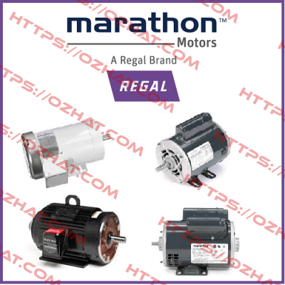 3055802003  Marathon (Regal)