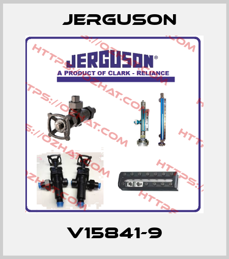 V15841-9 Jerguson