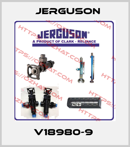 V18980-9  Jerguson