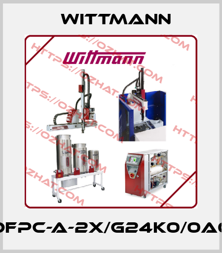 VT-DFPC-A-2X/G24K0/0A0F/V Wittmann