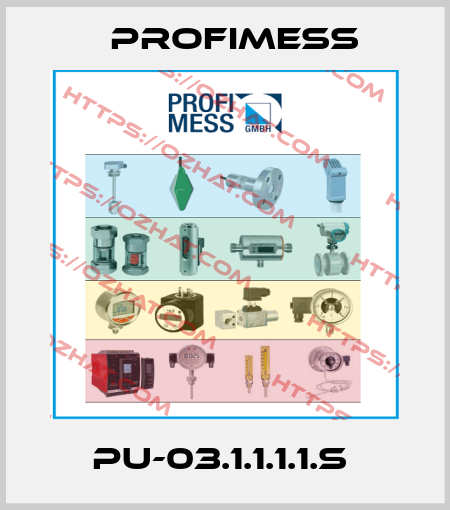  PU-03.1.1.1.1.S  Profimess
