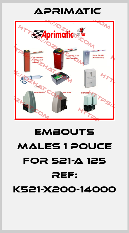 Embouts males 1 pouce for 521-A 125 REF: K521-X200-14000  Aprimatic