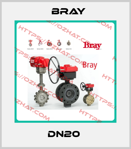 DN20  Bray
