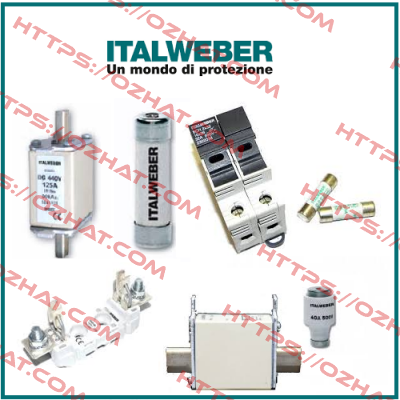 0106315  Italweber