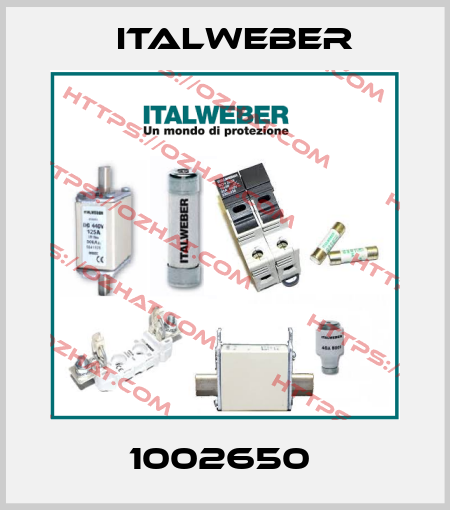 1002650  Italweber