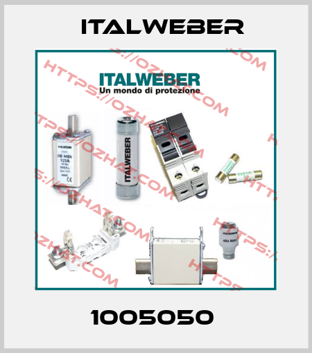 1005050  Italweber