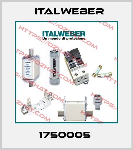 1750005  Italweber