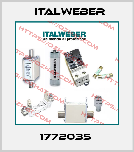 1772035  Italweber
