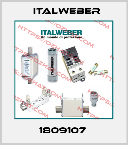 1809107  Italweber