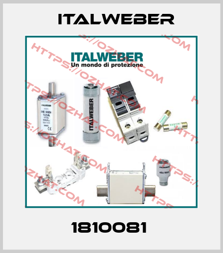 1810081  Italweber