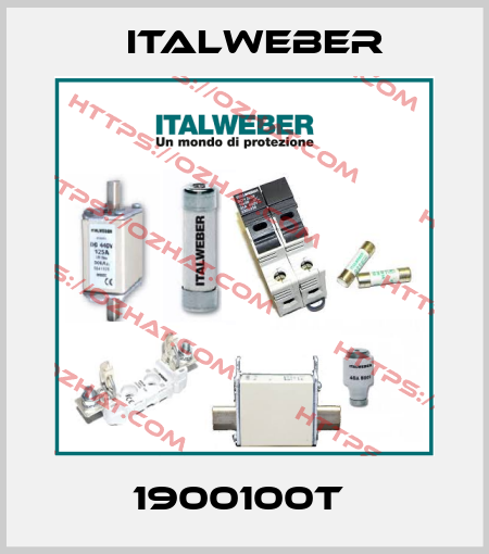 1900100T  Italweber