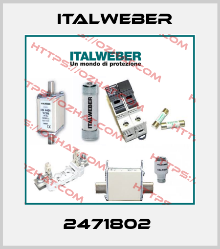 2471802  Italweber