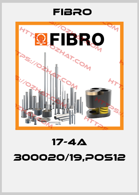 17-4A 300020/19,pos12  Fibro