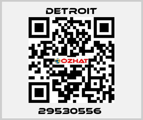 29530556  Detroit