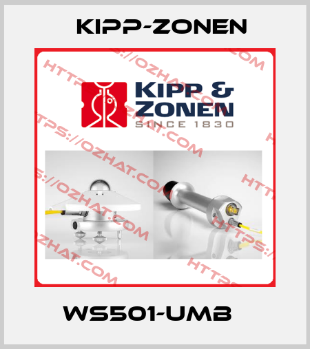 WS501-UMB   Kipp-Zonen