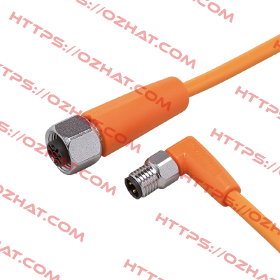 EVT301 Ifm