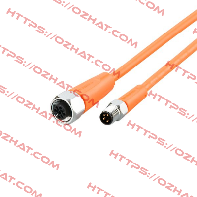 EVT305 Ifm