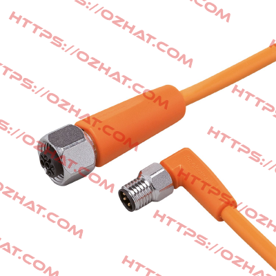 EVT306 Ifm