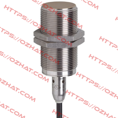 IIT239 Ifm