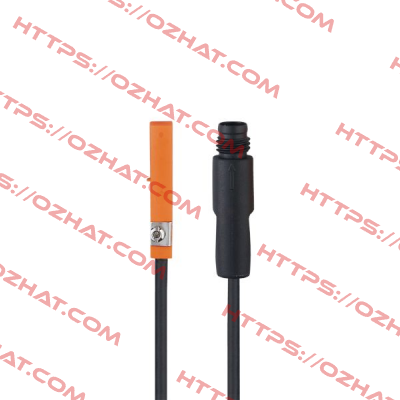 MR0129 Ifm