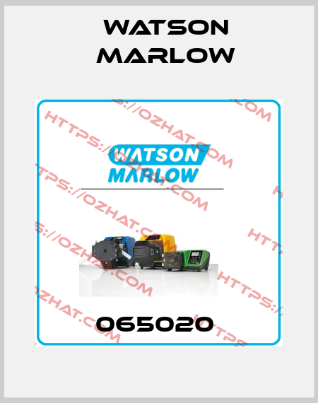 065020  Watson Marlow