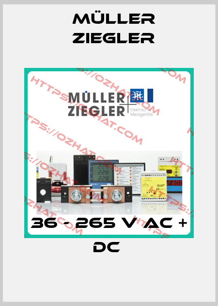 36 - 265 V AC + DC  Müller Ziegler