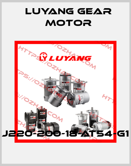 J220-200-18-AT54-G1 Luyang Gear Motor