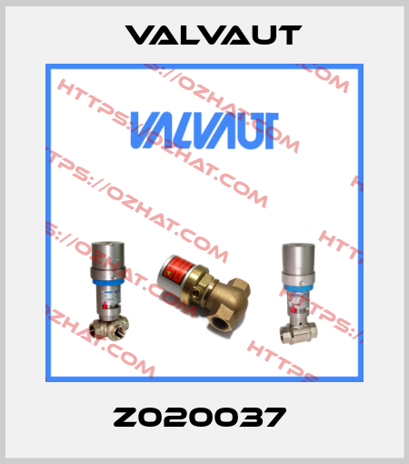 Z020037  Valvaut