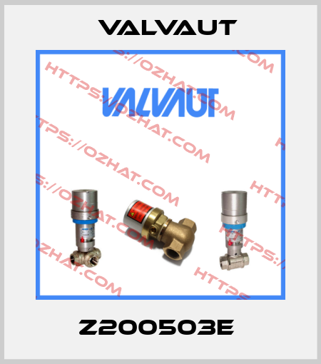 Z200503E  Valvaut