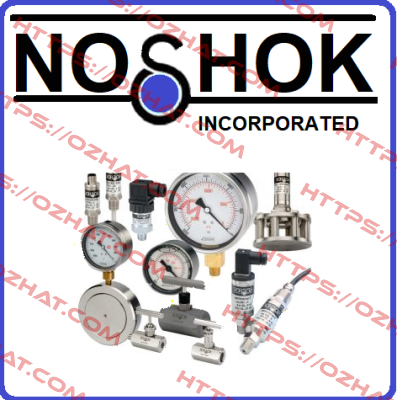 40-400-3000PSI-1/2"NPT  Noshok