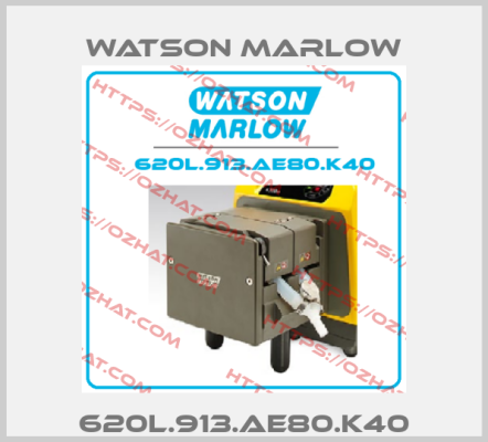 620L.913.AE80.K40 Watson Marlow