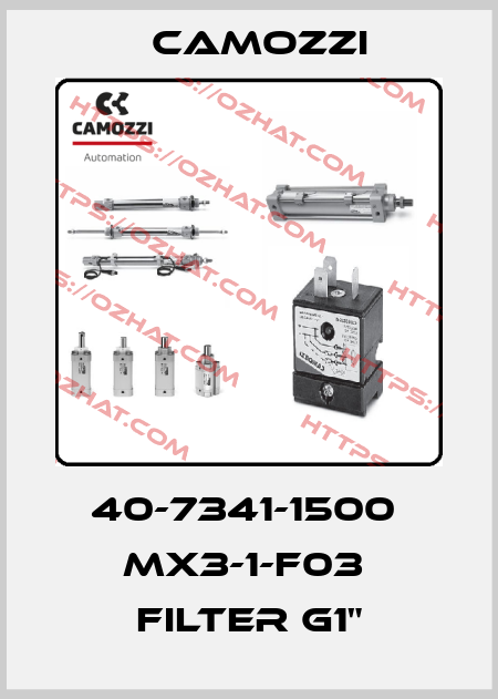 40-7341-1500  MX3-1-F03  FILTER G1" Camozzi