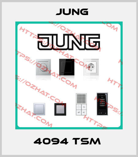 4094 TSM  Jung