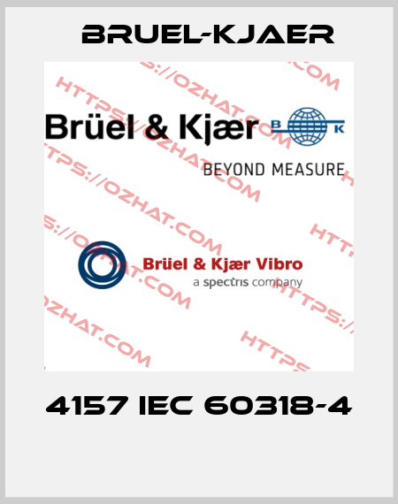 4157 IEC 60318-4  Bruel-Kjaer