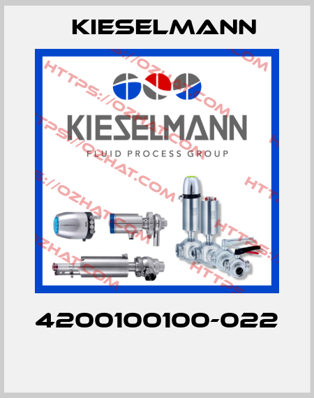 4200100100-022  Kieselmann