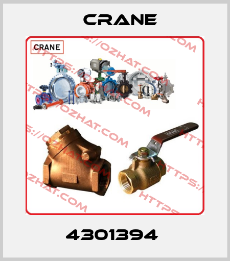 4301394  Crane