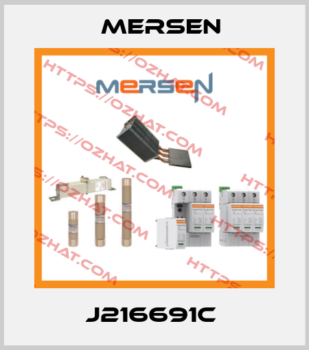 J216691C  Mersen