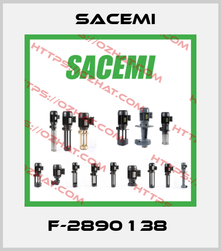 F-2890 1 38  Sacemi