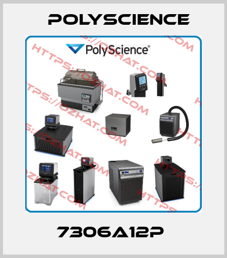 7306A12P  Polyscience