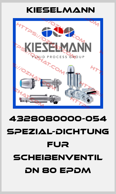 4328080000-054 SPEZIAL-DICHTUNG FUR SCHEIBENVENTIL DN 80 EPDM Kieselmann