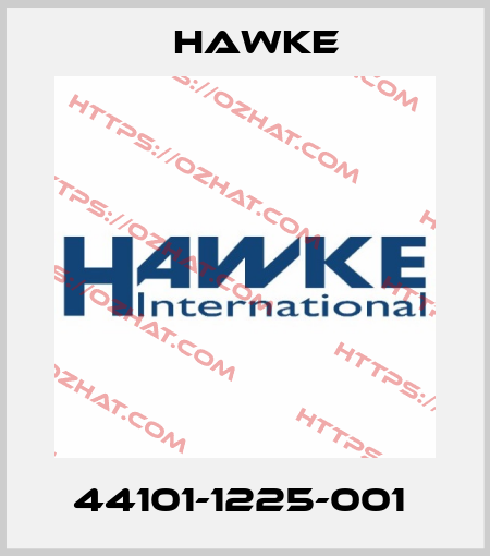 44101-1225-001  Hawke
