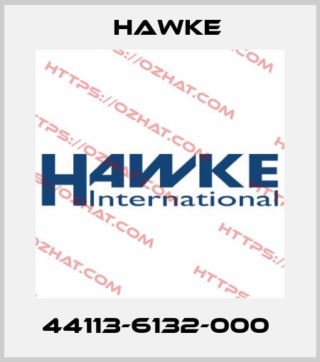 44113-6132-000  Hawke