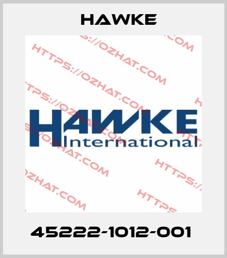 45222-1012-001  Hawke