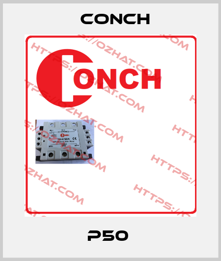 P50  Conch